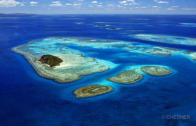 Lagoon Island Dive Spot New Caledonia
