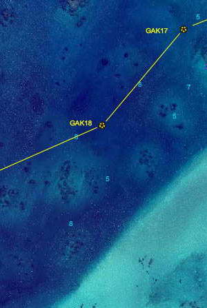 detail nautical chart new caledonia west isle of pines
